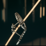 Jenta-Result-4k-1771094911415